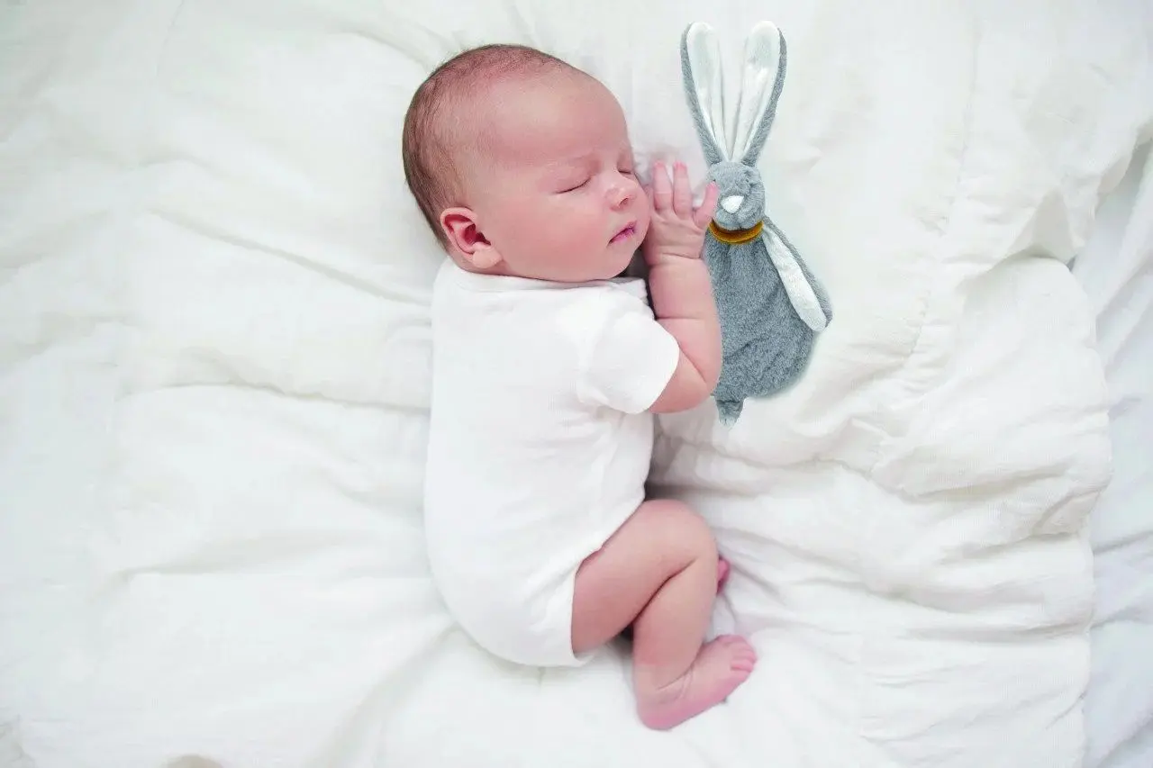 Мягкая игрушка с системой крепления пустышки BabyJem Rabbit Art-813 (Stone) - 5