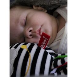 Мягкая игрушка Mom's Care 998 23cм Thumb