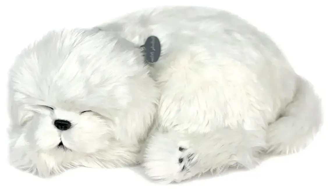 Jucarie de plus Perfect Petzzz Maltese 91-31 (White)