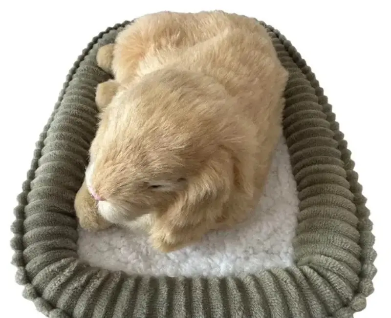 Jucarie de plus Perfect Petzzz Minilop Rabbit 99-11 (Beige) - 4