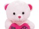 Jucarie casa Sf.Valentine 01533 40cm (Pink)