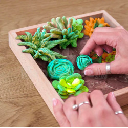 Набор для лепки Okto Madera&Craft DYI Air Clay Suculents Energy Thumb