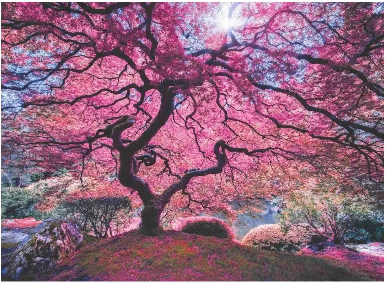 Пазлы Anatolian Pink tree