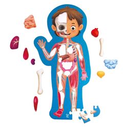 Пазлы Hape Строение тела человека E1635 (Blue)