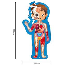 Пазлы Hape Строение тела человека E1635 (Blue) Thumb