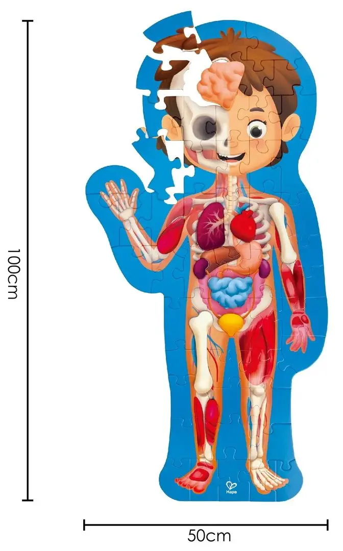 Пазлы Hape Строение тела человека E1635 (Blue) - 7