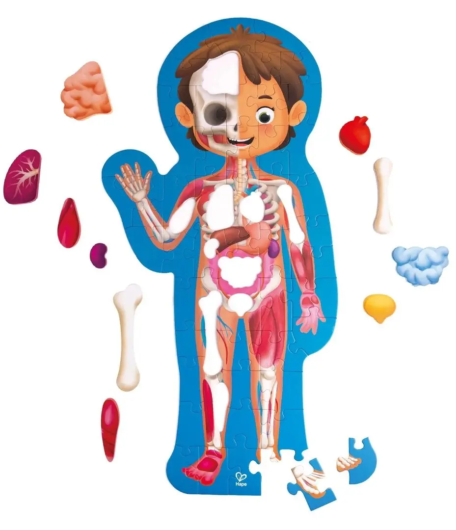 Пазлы Hape Строение тела человека E1635 (Blue)
