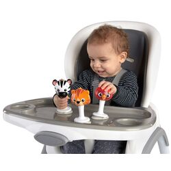 Set de zornăitoare Baby Einstein Rattle & Jingle Trio Thumb