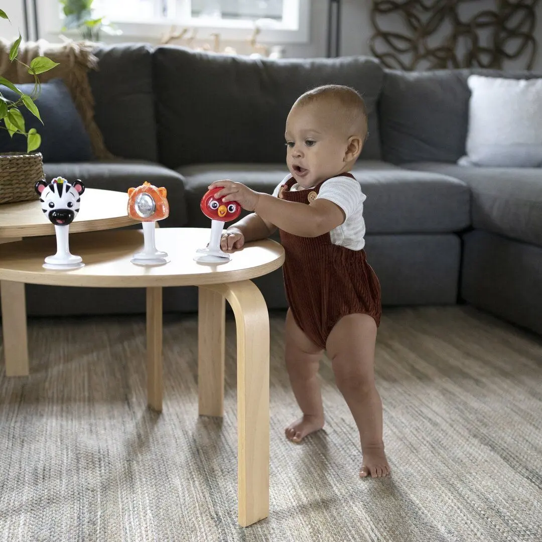 Set de zornăitoare Baby Einstein Rattle & Jingle Trio - 6