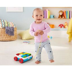 Cuburi Fisher-Price GJW10 (Multicolor) Thumb