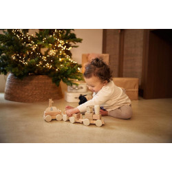 Развивающие кубики Jollein Train Jungle Jambo (Wood/Grey) Thumb