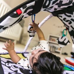 Covoras de joaca Baby Einstein Bold New World Thumb