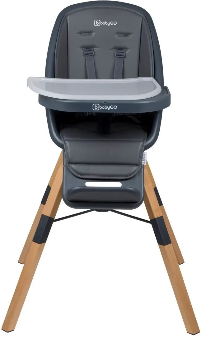 Стульчик для кормления BabyGo Carou (Black)