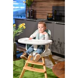 Стульчик для кормления 3в1 Bertoni (Lorelli) Napoli (Grey Candy) Thumb