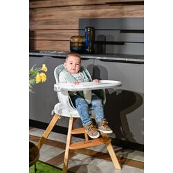 Стульчик для кормления 3в1 Bertoni (Lorelli) Napoli (Grey Candy) Thumb