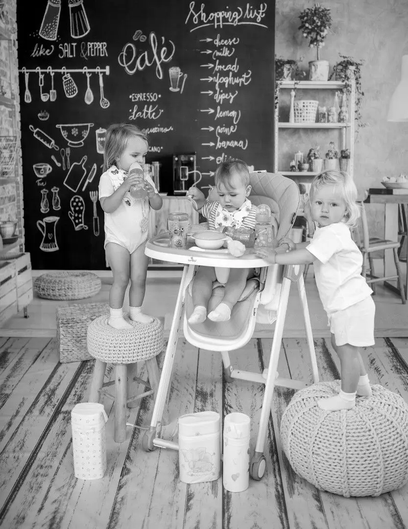 Стульчик для кормления Bertoni (Lorelli) Party (Blossom Leather) - 13