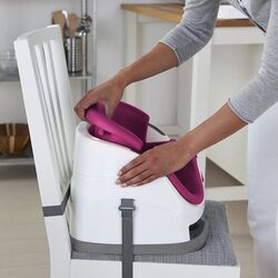 Стульчик для кормления Bright Starts Ingenuity (Pink Flambe) Thumb