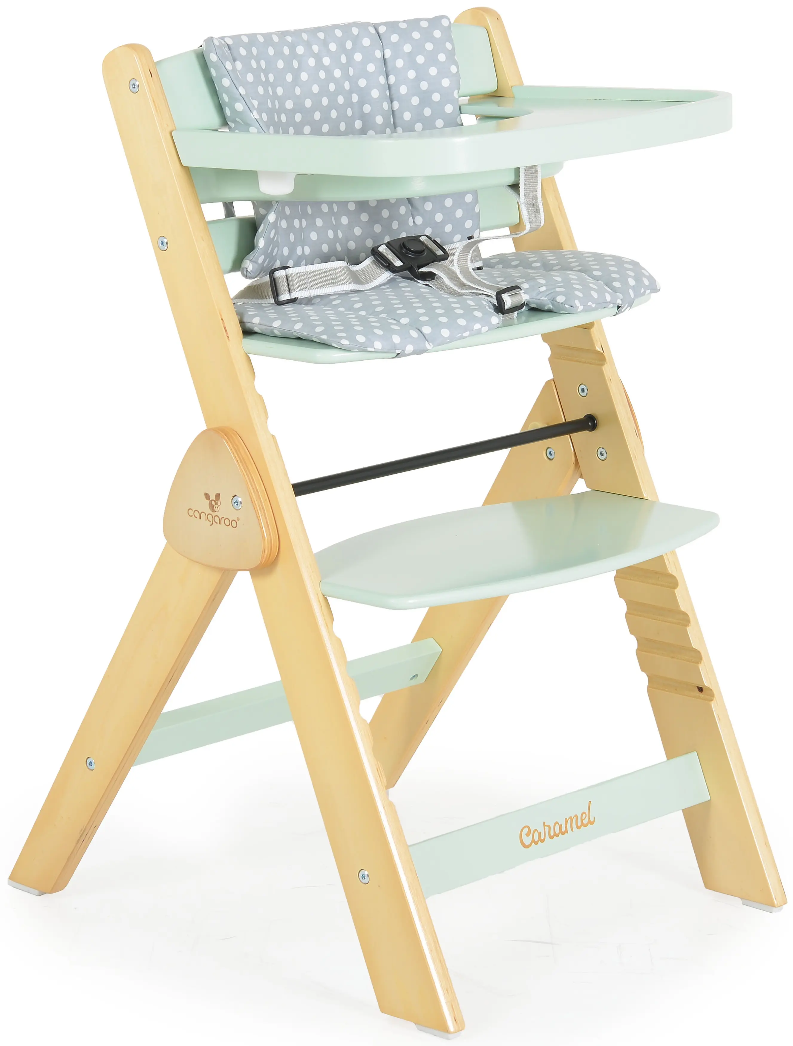 Стульчик для кормления Cangaroo Caramel (Mint)