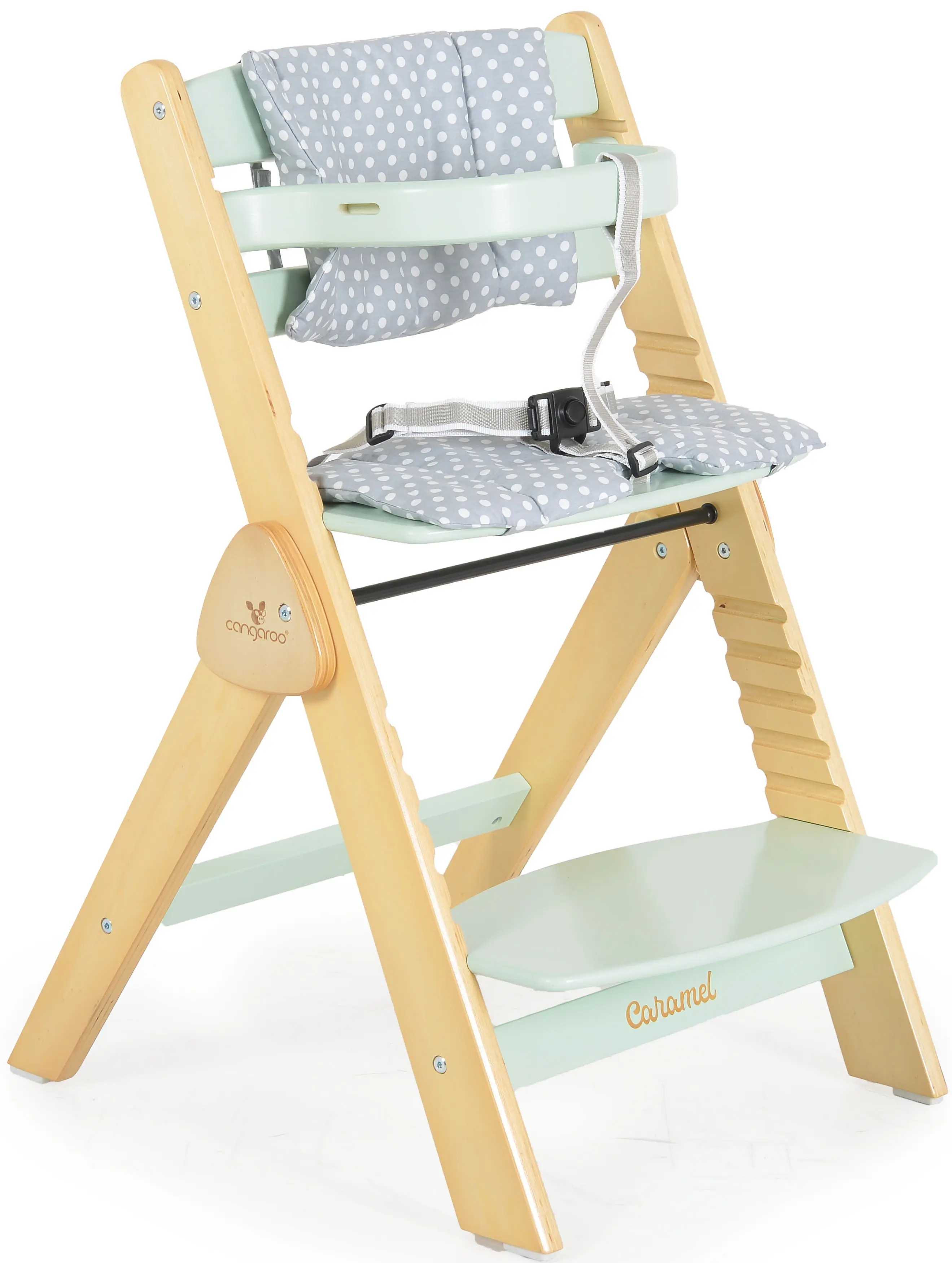 Стульчик для кормления Cangaroo Caramel (Mint)