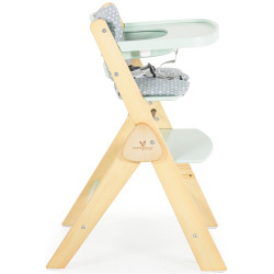 Стульчик для кормления Cangaroo Caramel (Mint) Thumb