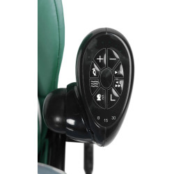 Стульчик для кормления 2в1 Caretero Indigo Black (Green) Thumb