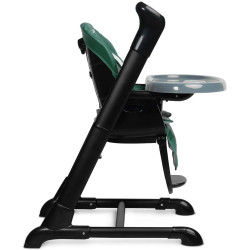 Стульчик для кормления 2в1 Caretero Indigo Black (Green) Thumb
