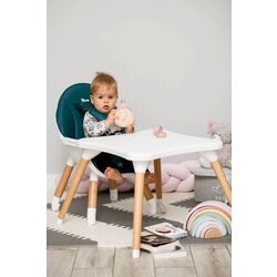 Стульчик для кормления Caretero Tuva (Green) Thumb