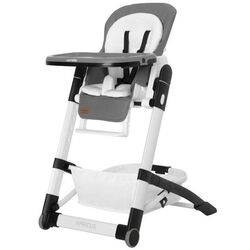 Стульчик для кормления Carrello Apricus Pale (Grey)