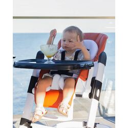 Стульчик для кормления Carrello Apricus Pale (Terakota) Thumb