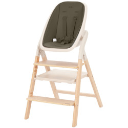 Scaun pentru hranire Carrello Ergo CRL-16701 (Pine Green) Thumb