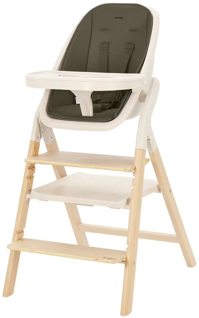 Scaun pentru hranire Carrello Ergo CRL-16701 (Pine Green)