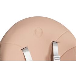 Scaun pentru hranire 4in1 Colibro Picolo (Crystal Pink) Thumb