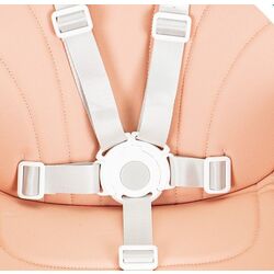 Стульчик для кормления 2в1 Ecotoys HA-004 (Pink) Thumb