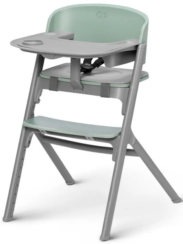 Стульчик для кормления Kinderkraft Livy (Olive Green)