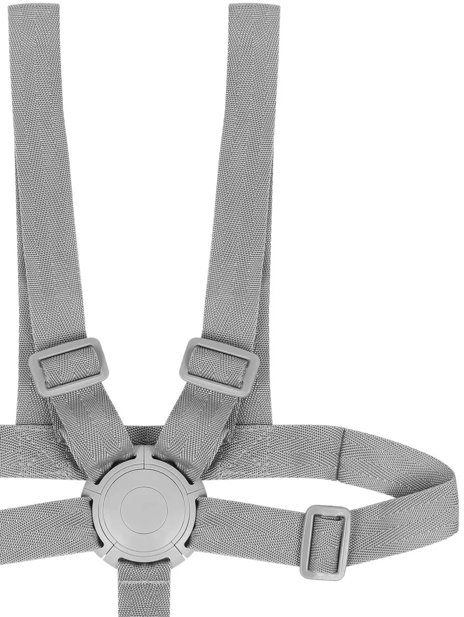 Стульчик для кормления 2в1 Lionelo Dalia (Grey Stone)