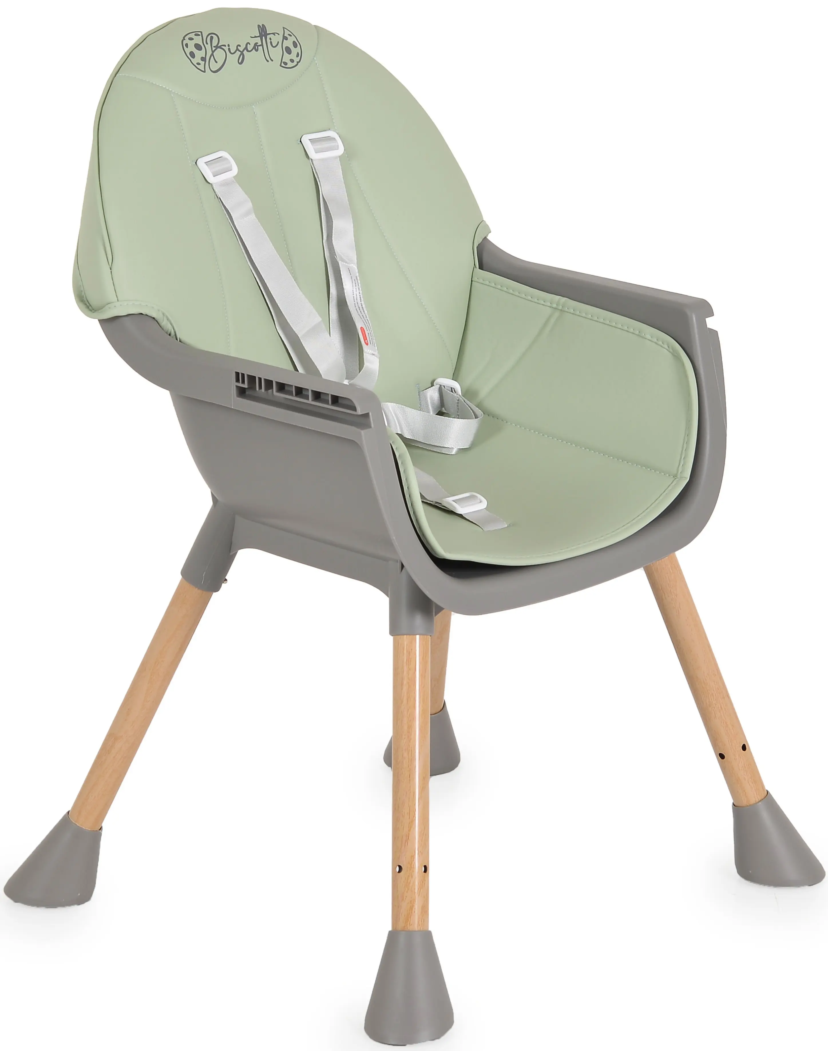 Scaun pentru hranire 2in1 Moni Biscotti (Mint)