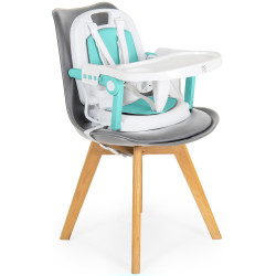Scaun pentru hranire 3in1 Moni Amaretti (Mint) Thumb