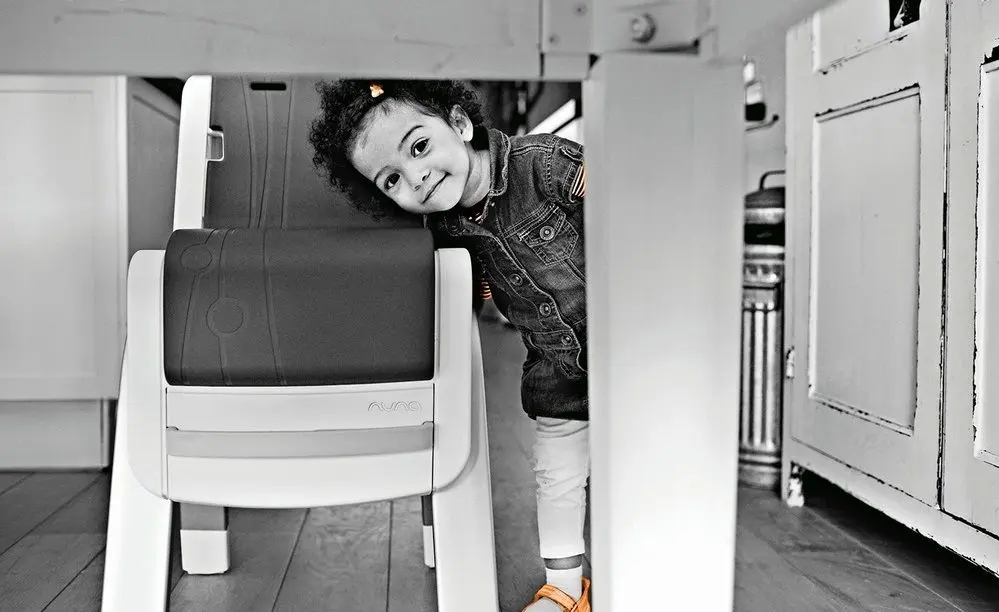 Стульчик для кормления Nuna Zaaz (Carbone)