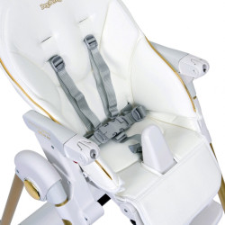 Scaun pentru hranire Peg-Perego Prima Pappa Follow Me (Gold) Thumb