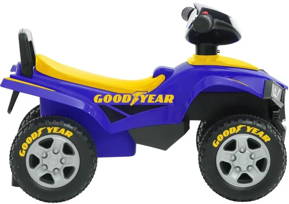 Tolocar VidaXL 80320 (Blue)