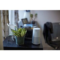 Портативная колонка Bose SoundLink Revolve II (Luxe Silver) Thumb