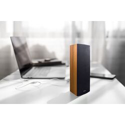 Sistem acustic DSPPA DSP203IIx2 (Brown/Black) Thumb