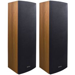 Sistem acustic DSPPA DSP203IIx2 (Brown/Black)