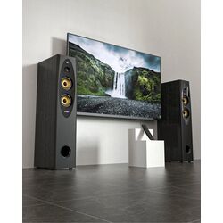 Акустическая система F&D T-60X Pro (Black) Thumb