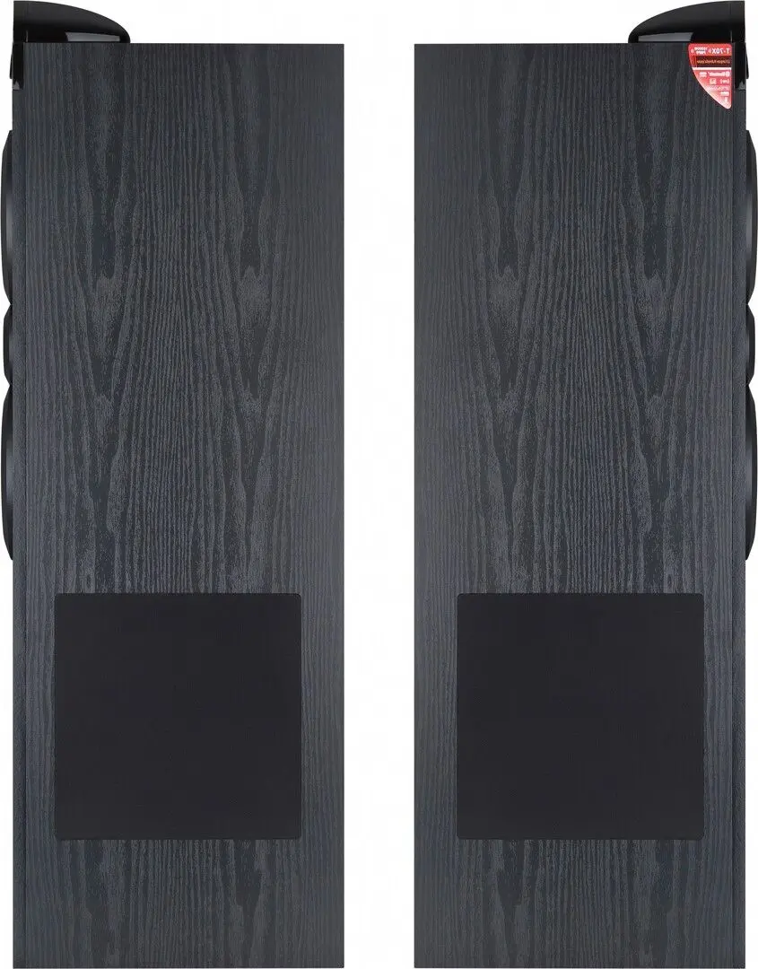 Акустическая система F&D T-70X (Black) - 4
