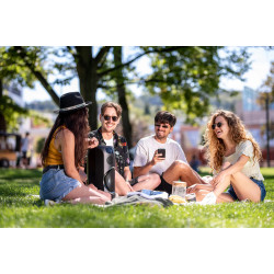 Портативная акустическая система GoGEN Smilee BPS 636 (Black) Thumb