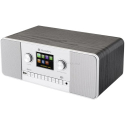 Radio GoGEN IR 257 BTDAB (Black/Silver)