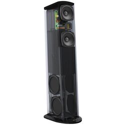 Акустическая система GoldenEar Triton 5 + Lyngdorf TDAI-1120 (Black) Thumb