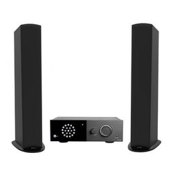 Sistem acustic GoldenEar Triton 5 + Lyngdorf TDAI-1120 (Black)