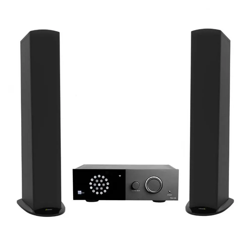 Акустическая система GoldenEar Triton 5 + Lyngdorf TDAI-1120 (Black)